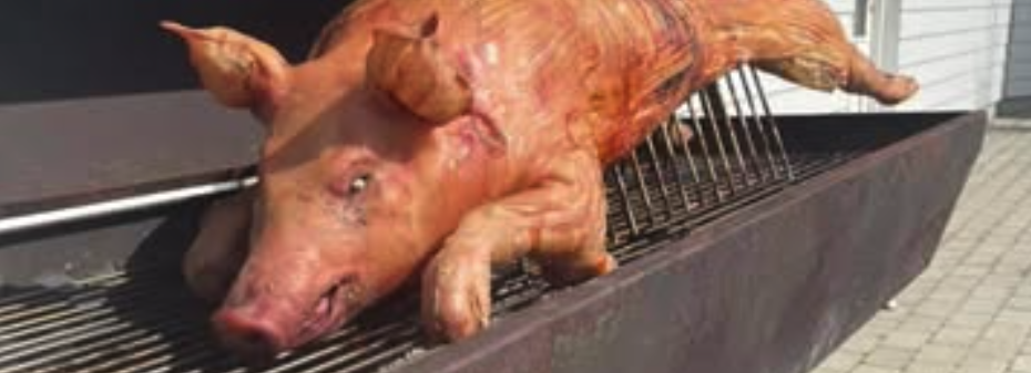Eight shirts arranged on table in black, olive, grey, blue, white, red, mustard, and green.